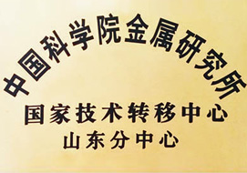 高分子托輥